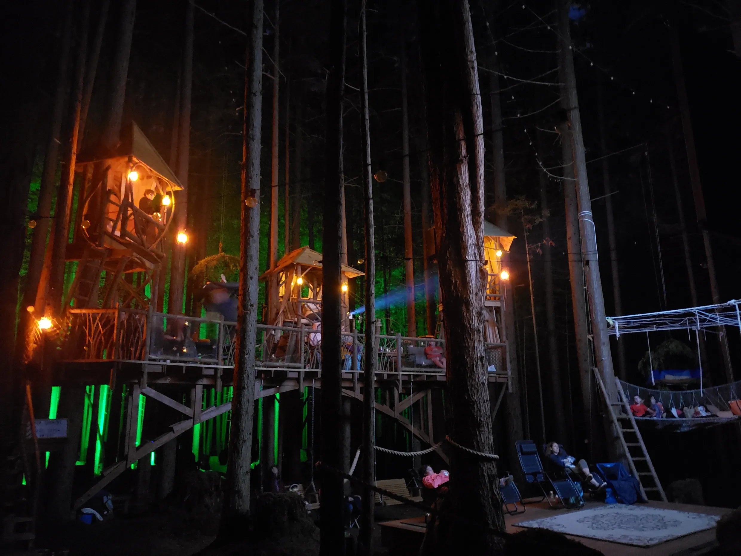 Washington’s Emerald Forest Movie Night