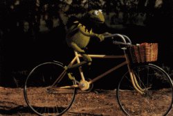 Kermit the Frog in The Muppet Movie