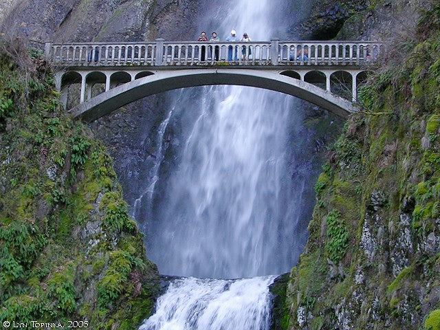 Outdoor Movies in Multnomah, Oregon
